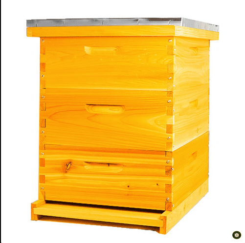 Langstroth Beehive