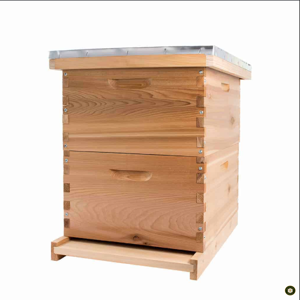Langstroth Beehive — view 2